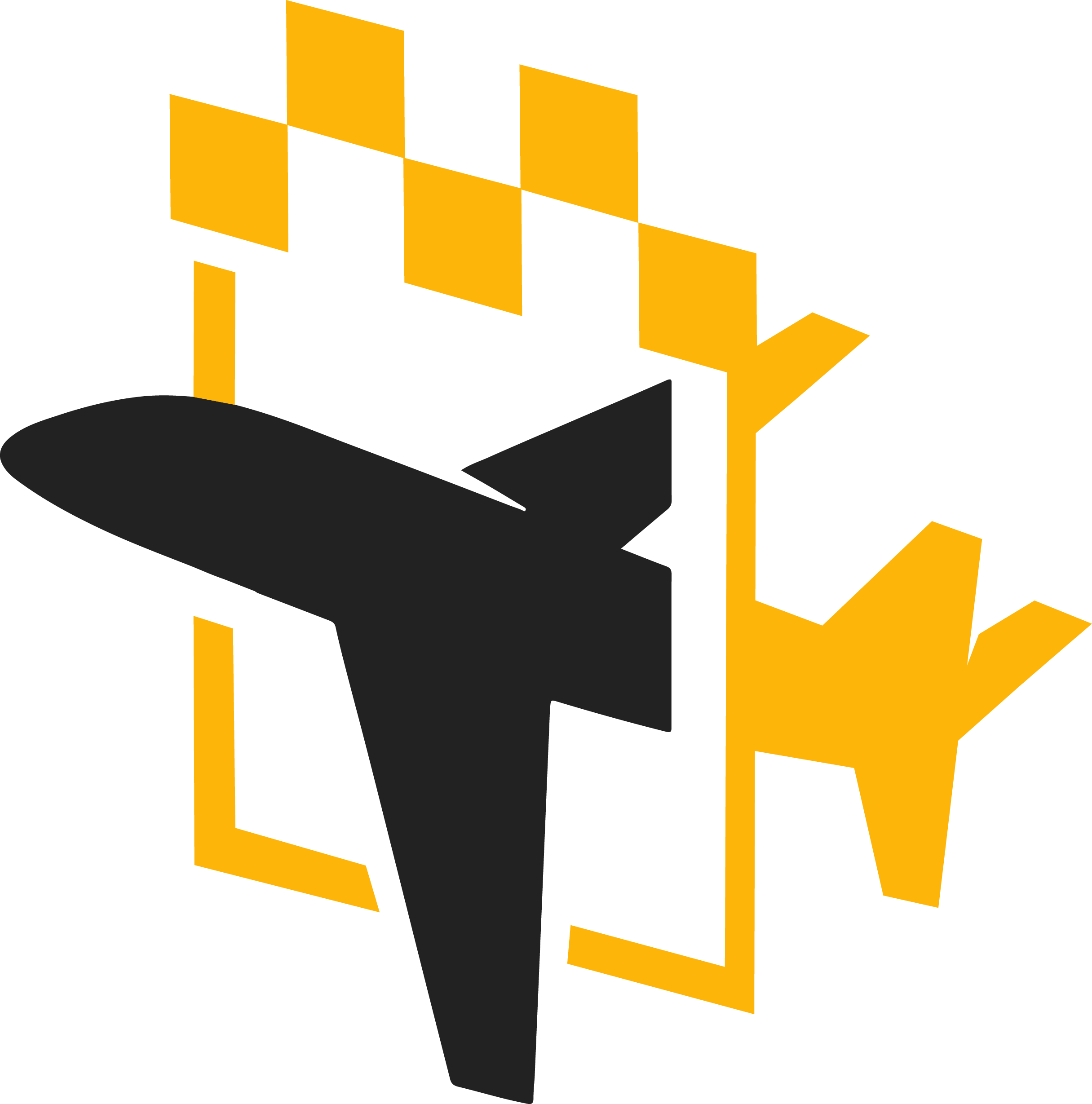 Airport Shuttle Logo